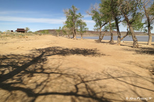 Another view of dispersed site. This was also taken at Silver Springs Beach #3. Toilet/shower stall in the background. This was a reasonably firm site.