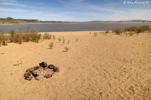 View of one of dispersed sites along the shore. This was taken at Silver Springs Beach #3. This was large but very soft/sandy.