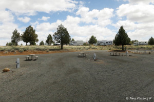 View of middle tier sites. #6 on left, #7, #8, #9 on right. Not much green/separation here, but sites are very long.