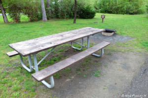 Typical sitting area. Picnic table, fire-pit and waste-water dump.