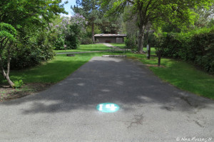 View of one of inner sites #14.