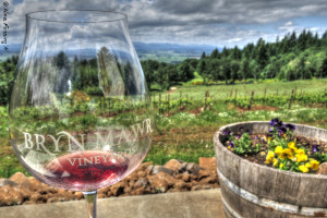 Wine with a view at Bryn Mawr