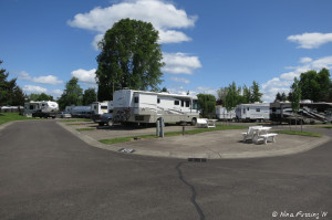 View down one of the back rows. Empty site #215 in front with RV in #216 behind it.