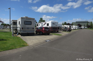 View down another typical row. RV in site #246 on left with #245 next to it.