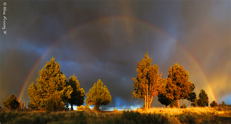 An unexpected, but fabulous rainbow. Taken right out of our front window.