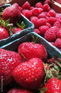 These babies should be eaten right away!