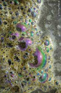 Who would ever have imagined that dying plankton could be so cool?