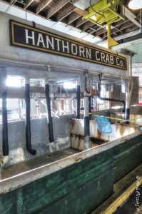 Inside the Old Cannery