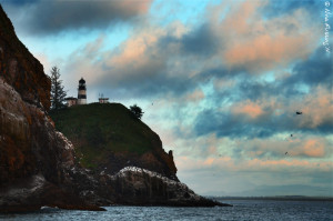 A very pink sunset over Cape Disappointment Lighthouse