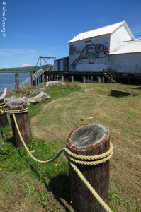 The fresh fish stop at South Bend, WA