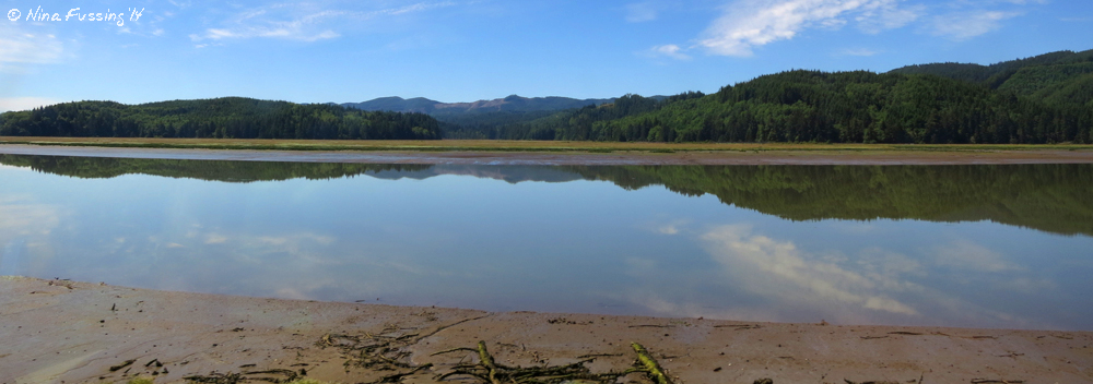Reflections on Willapa Bay