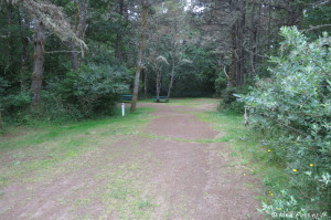 View of spacious & private tent site. This is #3 which is open to RVs.