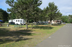 Another view of our row from further back. As you can see we had lots of space early on in the week.