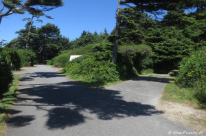 View down sunny front (beach-side) section of A-loop. Site A20 on right, A17 behind it. Sites on left have beach views.