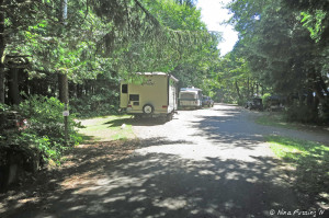 Another view of wooded B-loop. Sites B5 & B8 on left (back-to-back)