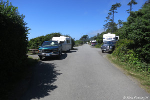 Another view down sunny side of D-loop. Casita in site D31 on left. RV in D30 on right.
