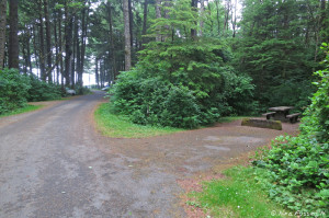 View down more wooded side section of A-loop. Site A41 on right.