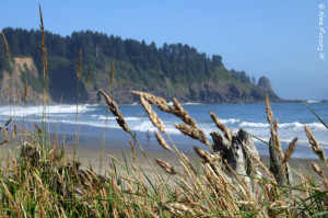 View right across from our site