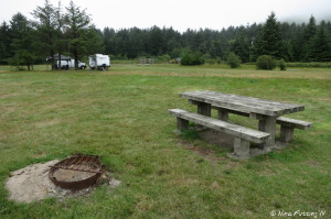 View of one of "sites" with picnic table and fire-pit in the dispersed camping area