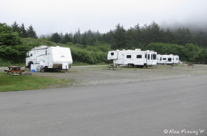 View of RV hookup area. This area has 10 sites.