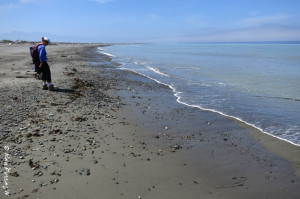 Suzanne checks out the little stuff by the beach