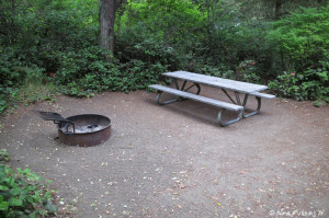 View of the picnic table and fire-pit at our site #42. We had a rather small sitting area.