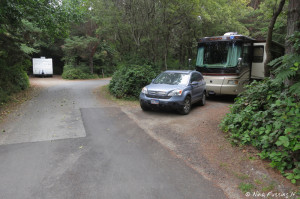 View of our site in Loop 2. We're in pull-through #42. RV behind is in #45. Although our site was long it was rather tightly angled and we brushed quite a bit getting in and out.