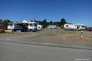 View of sites near entrance of park. RV on left in site 358 with sites 357-349 next to it.