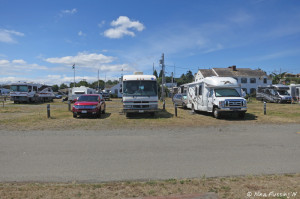 View from front of entry sites. RV on left in 339, RV on right in 340.