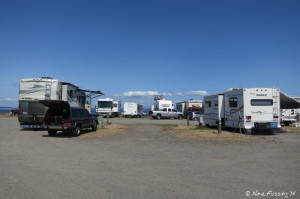 View looking behind our RV to back sites. RV on left in site 301, on right 303 and they are both "hidden" from the water view by the row of RV's in front (sites 307-311)