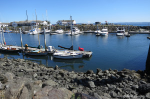 View of park from across the marina. See our RV in the back?