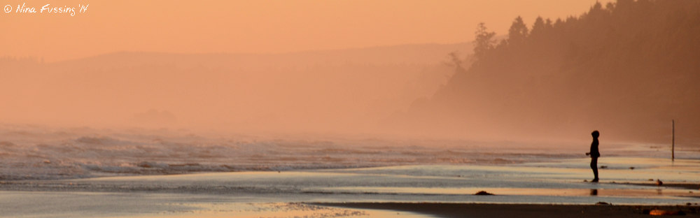 Misty views from Kalaloch