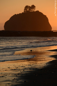 Sunset on First Beach