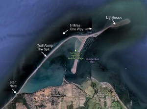 Satellite view of the Dungeness Spit hike