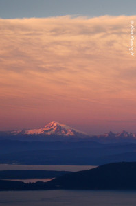 Last alpenglow on Mount Baker in our "back yard"