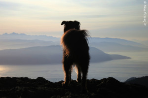 A peak at the morning view