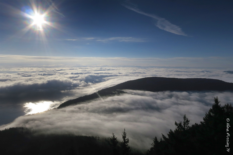 We're often above the clouds here at Mount Constitution. Yeah, it rocks...