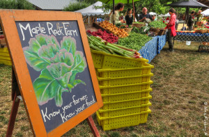 I never imagined there would be SO much produce here