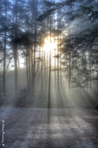 Early morning fog & solitude at Mount Constitution