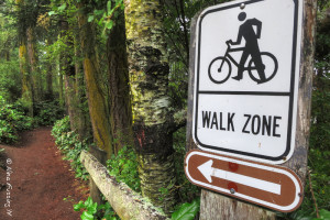 Bike traffic control, Island style....