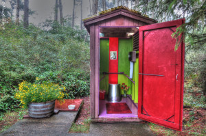 Bright paint, flowers & coziness. What a pit toilet!!