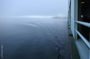 Foggy ferry ride home....