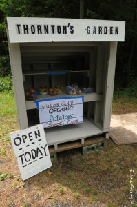 Potatoes and garlic at this little stand