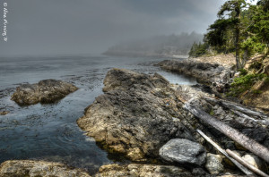 Heavily fogged in at Shark Reef Sanctuary