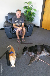 Hanging at Cummins Coach Care with the paws (Rand is hiding)