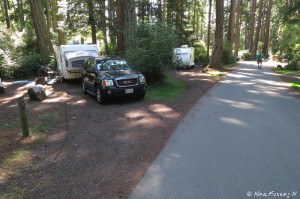 View down forest loop. Site 37 on left.