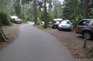 View down beginning of lower loop. Site 84 on front right which is right next to 83.