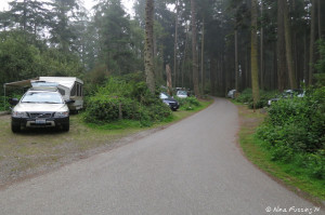 View down middle of lower loop. Car on left in site #113. A very windy road behind.