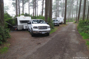 Another view down lower loop. Trailer in site 120 on left.