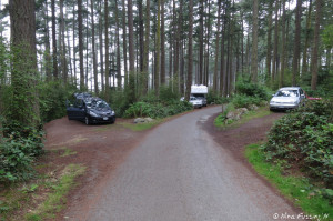 View down lower loop. Car in site 128 on right. #127 on left. These sites are VERY small.